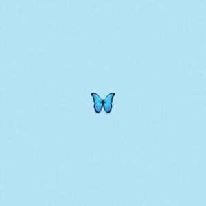 Meet your Posher, Kay